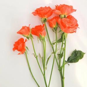 Kaiyun Sports-315曝光的3类黑心酒水，竟还在流通！喝的人要当心